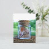 Carte postale Jar of Sea Shells (Debout devant)