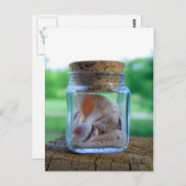 Carte postale Jar of Sea Shells (Devant / Derrière)
