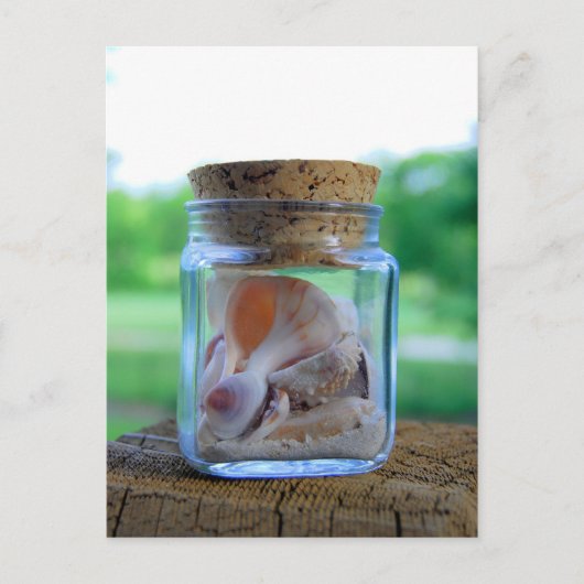 Carte postale Jar of Sea Shells (Devant)