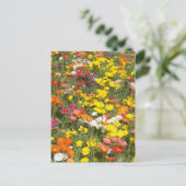 Carte Postale Jardin (Debout devant)