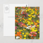 Carte Postale Jardin (Devant / Derrière)