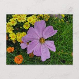 Carte Postale Jardin