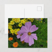 Carte Postale Jardin (Devant / Derrière)