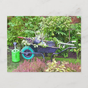 CARTE POSTALE JARDIN