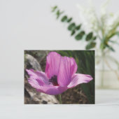 Carte postale Jardin Anemone (Debout devant)