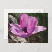 Carte postale Jardin Anemone (Devant / Derrière)