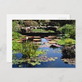Carte Postale Jardin aquatique (Devant / Derrière)