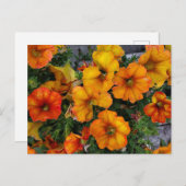 Carte Postale Jardin automnal (Devant / Derrière)