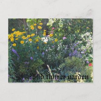 Carte Postale Jardin aux fleurs sauvages