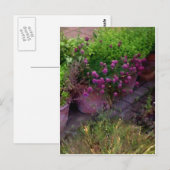 Carte Postale Jardin aux herbes (Devant / Derrière)