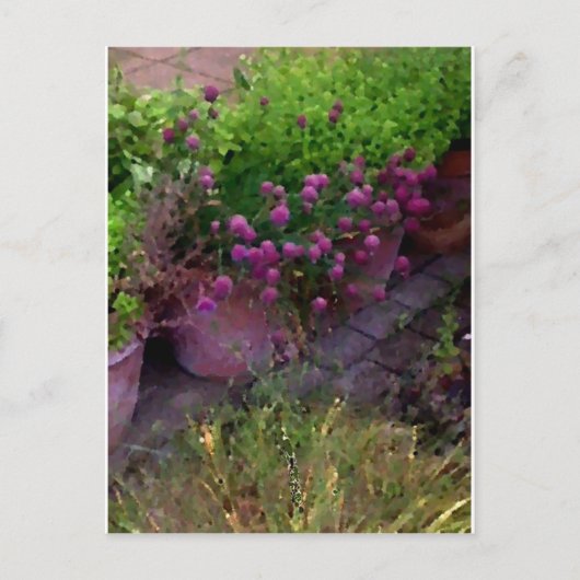 Carte Postale Jardin aux herbes (Devant)