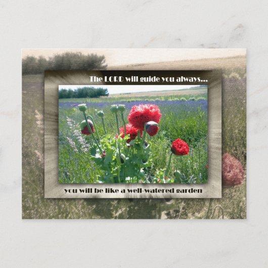 Carte Postale Jardin bien arrosé (Devant)