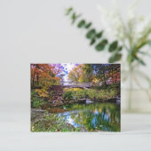 Carte Postale Jardin botanique (Debout devant)