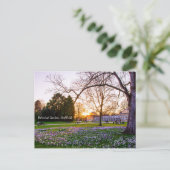 Carte Postale Jardin botanique à Sheffield (Debout devant)