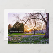 Carte Postale Jardin botanique à Sheffield (Devant / Derrière)
