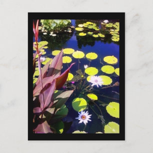 Carte Postale jardin botanique de chicago