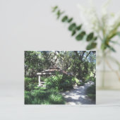 Carte Postale Jardin botanique de Floride (Debout devant)