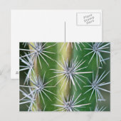 Carte Postale Jardin botanique de Huntington, Octopus Cactus (Devant / Derrière)