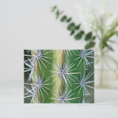 Carte Postale Jardin botanique de Huntington, Octopus Cactus (Debout devant)