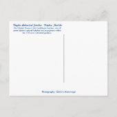 Carte Postale Jardin botanique de Naples Florida - Jardin des Ca (Dos)