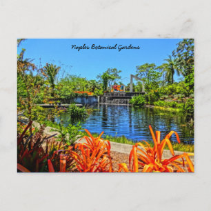 Carte Postale Jardin botanique de Naples Floride - Mur de mosaïq