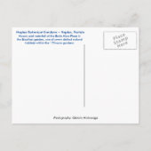 Carte Postale Jardin botanique de Naples Floride - Mur de mosaïq (Dos)