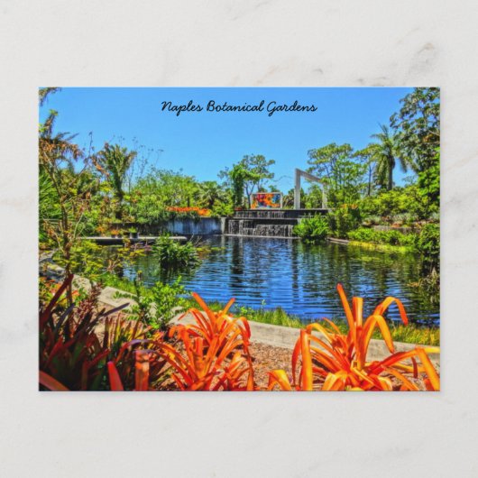 Carte Postale Jardin botanique de Naples Floride - Mur de mosaïq (Devant)