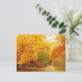 CARTE POSTALE/JARDIN BOTANIQUE DE TOLÈDE/CHEMIN D' (Debout devant)