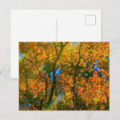 Carte Postale Jardin botanique VanDusen Vancouver, Canada (Devant / Derrière)