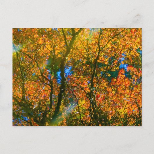 Carte Postale Jardin botanique VanDusen Vancouver, Canada (Devant)