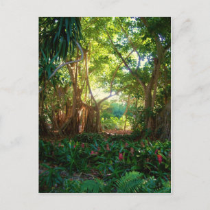 Carte Postale jardin calme