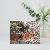 Carte Postale jardin chinois (Debout devant)