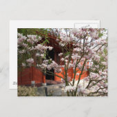 Carte Postale jardin chinois (Devant / Derrière)