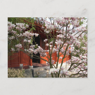 Carte Postale jardin chinois