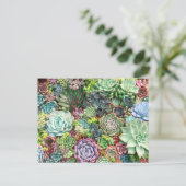Carte Postale Jardin coloré Succulent (Debout devant)