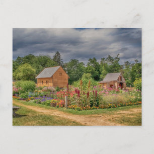 Carte Postale Jardin dans les Adirondacks