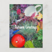 Carte Postale Jardin d'automne rustique coloré (Devant)