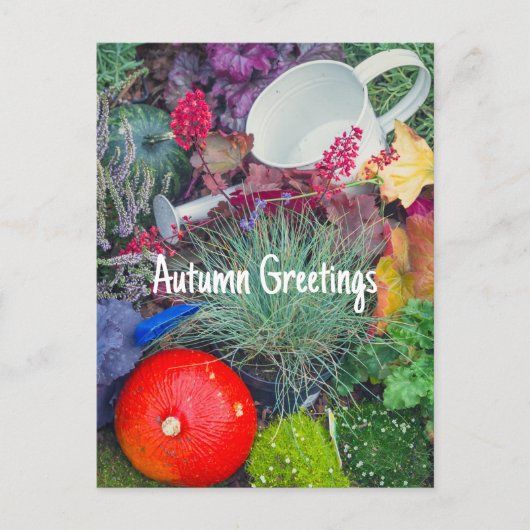 Carte Postale Jardin d'automne rustique coloré (Devant)