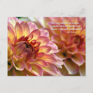 Carte Postale Jardin de belles fleurs : Citation de Whitman