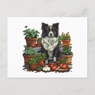 Carte Postale Jardin de Collie à la frontière