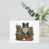 Carte Postale Jardin de Collie à la frontière (Debout devant)