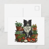 Carte Postale Jardin de Collie à la frontière (Devant / Derrière)