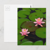 Carte Postale Jardin de fleurs de laine d'eau de lotus rose, (Devant / Derrière)