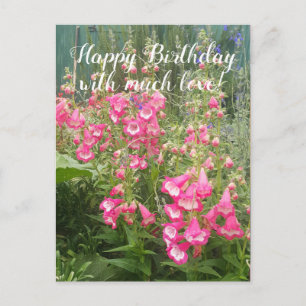 Carte Postale Jardin de fleurs de Penstemon floral Joyeux Annive