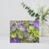 Carte Postale Jardin de Keukenhof Hydrangea (Debout devant)