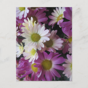 Carte Postale Jardin de papillon de bouquet de FLEUR : Cadeaux