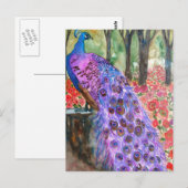 Carte Postale Jardin de Peacock (Devant / Derrière)