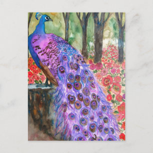 Carte Postale Jardin de Peacock