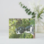 Carte Postale Jardin de sculpture Umlauf (Debout devant)