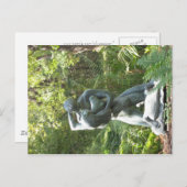 Carte Postale Jardin de sculpture Umlauf (Devant / Derrière)